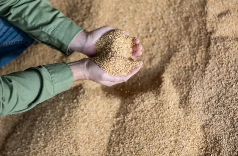 NutricaoAnimal_Agroceres_Multimix-scaled-e1662124198977